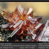 Erythrite with Conichalcite
fov 1.8 mm
(Autor: ploum)