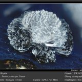 Phillipsite
fov 1.8 mm
(Autor: ploum)