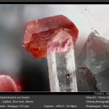 Wendwilsonite on Quartz
fov 1.8 mm
(Autor: ploum)