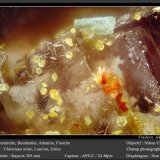 Carminite, Beudantite, Adamite, Fluorite
fov 1.1 mm
(Autor: ploum)