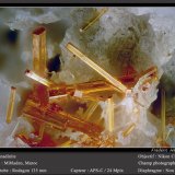 Vanadinite
fov 3.6 mm
(Autor: ploum)