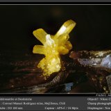 Sideronatrite on Destinezite
fov 1.4 mm
(Autor: ploum)