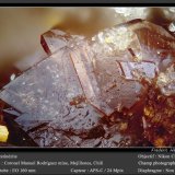 Destinezite
fov 1.4 mm
(Autor: ploum)