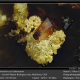 Destinezite on Sideronatrite
fov 1.4 mm
(Autor: ploum)