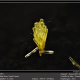 Mimetite
fov 2.2 mm
(Autor: ploum)