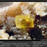 Saléeite
fov 4.4 mm
(Autor: ploum)