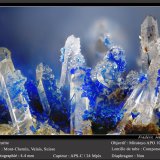 Azurite on Quartz
fov 4.4 mm
(Autor: ploum)