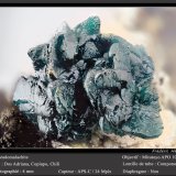 Pseudomalachite
fov 4 mm
(Autor: ploum)