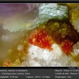 Carminite
fov 0.70 mm
(Autor: ploum)