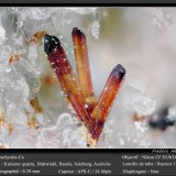 Aeschynite-(Ce)
fov  0.70 mm
(Autor: ploum)