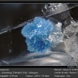Jeremejevite
fov 0.70 mm
(Autor: ploum)