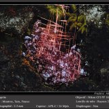 Cuprite (variety chalcotrichite)
fov 2.3 mm
(Autor: ploum)