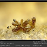 Mimetite
fov 3.5 mm
(Autor: ploum)