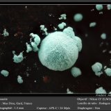 Rosasite
fov 1.5 mm
(Autor: ploum)