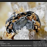 Hematite with Rutile
fov 7 mm
(Autor: ploum)
