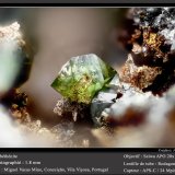 Libethenite
fov 1.8 mm
(Autor: ploum)