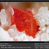 Realgar and Calcite
fov 1.8 mm
(Autor: ploum)