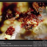 Carminite
fov 1.8 mm
(Autor: ploum)