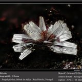 Willemite
fov 1.8 mm
(Autor: ploum)