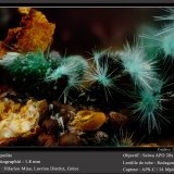 Agardite
fov 1.8 mm
(Autor: ploum)