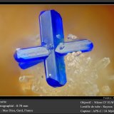 Azurite
fov 0.70 mm
(Autor: ploum)