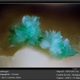 Annabergite
fov 3.6 mm
(Autor: ploum)