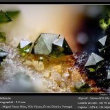 Libethenite
fov 2.2 mm
(Autor: ploum)
