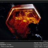 Vanadinite
fov 2.2 mm
(Autor: ploum)