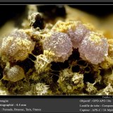 Strengite
fov 4.4 mm
(Autor: ploum)