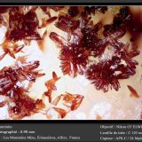 Carminite
fov 0.90 mm
(Autor: ploum)