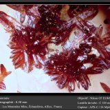 Carminite
fov 0.50 mm
(Autor: ploum)