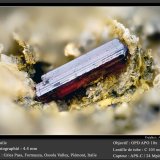 Rutile
fov 4.4 mm
(Autor: ploum)