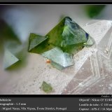 Libethenite and Turquoise
fov 2.0 mm
(Autor: ploum)