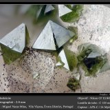 Libethenite and Turquoise
fov 2.0 mm
(Autor: ploum)