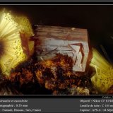 Beraunite and Cacoxenite
fov 0.55 mm
(Autor: ploum)
