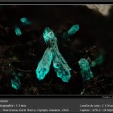 Dioptase
fov 1.5 mm
(Autor: ploum)