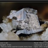 Anatase and Rutile
fov 4 mm
(Autor: ploum)