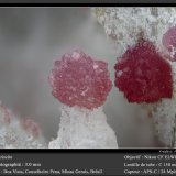 Variscite
fov 3.0 mm
(Autor: ploum)