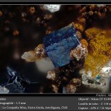 Boleite
fov 1.5 mm
(Autor: ploum)