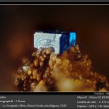Boleite
fov 1.0 mm
(Autor: ploum)