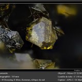 Sturmanite
fov 3.0 mm
(Autor: ploum)