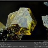 Sturmanite
fov 2.0 mm
(Autor: ploum)