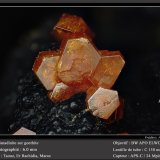 Vanadinite
fov 6.0 mm
(Autor: ploum)