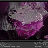 Clinochlore (chromian variety kämmererite)
fov 1.5 mm
(Autor: ploum)