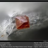 Fluornatropyrochlore
fov 1.3 mm
(Autor: ploum)