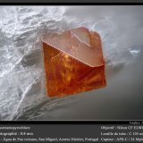 Fluornatropyrochlore
fov 0.8 mm
(Autor: ploum)