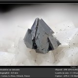 Tetrahedrite
fov 6.0 mm
(Autor: ploum)