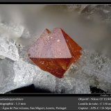 Fluornatropyrochlore
fov 1.5 mm
(Autor: ploum)