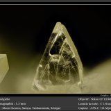 Senegalite
fov 1.5 mm
(Autor: ploum)