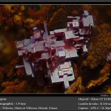 Cuprite
fov 1.9 mm
(Autor: ploum)